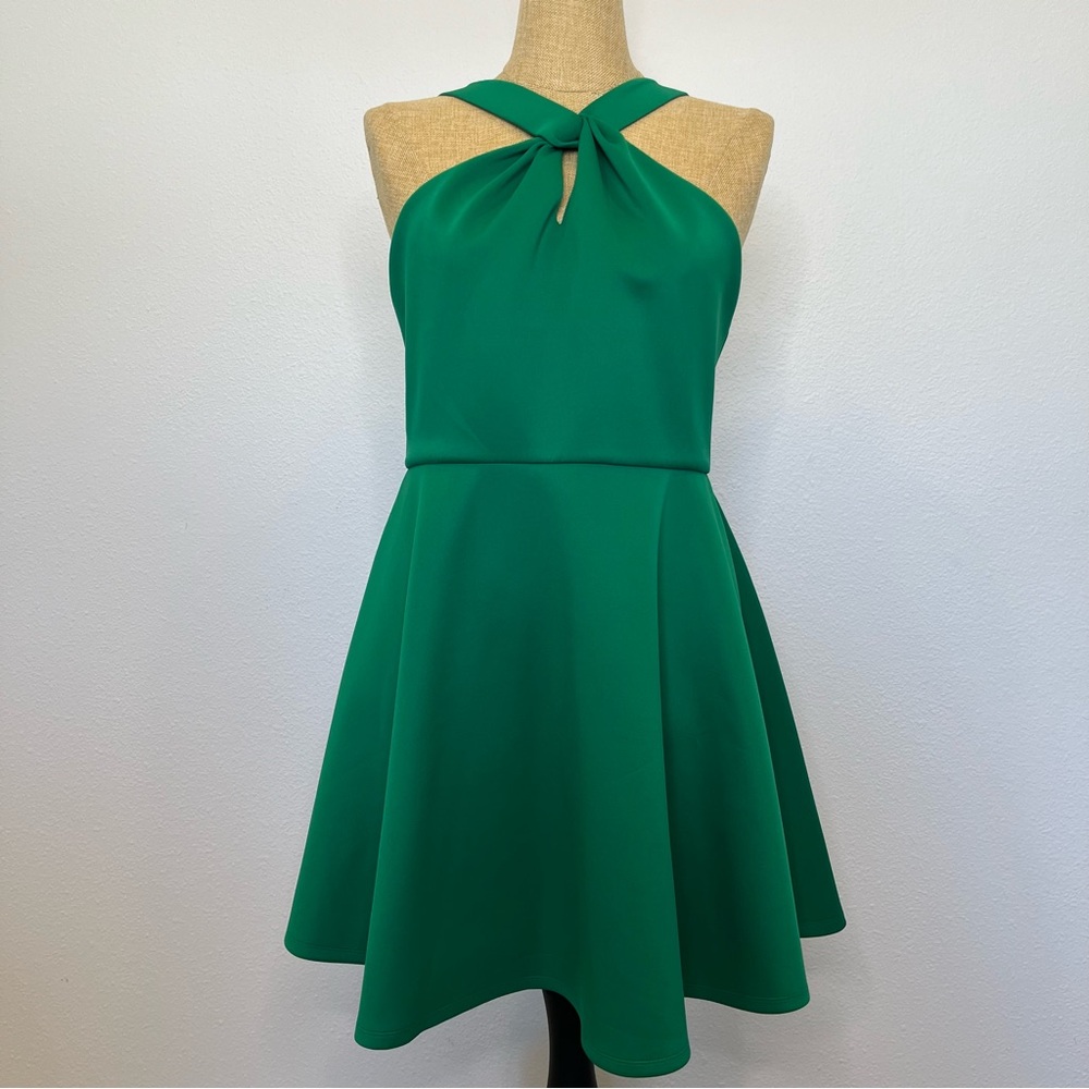 Ted Baker London Freeda Front Twist Green Skater Dress Size 4 (US size 8-10)
NWT